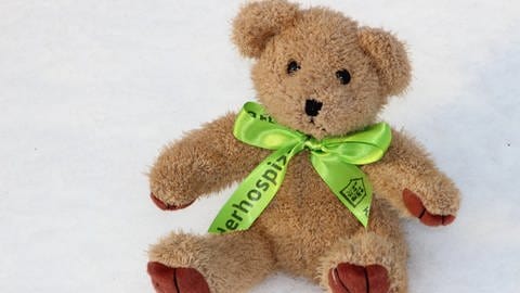 Teddy mit grüner Schleife