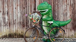 Dino fährt Blumen mit Fahrrad aus