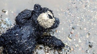 Teddybär ist überschwemmt von Wasser 