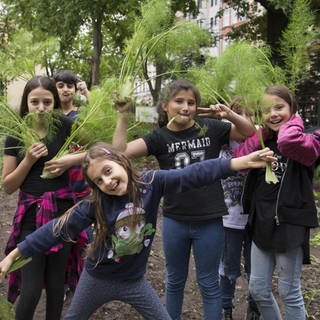 Schüler bei der Fenchelernte