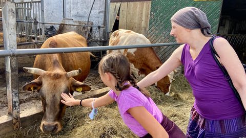 Tanja und Sophie streicheln Kühe auf einem Bauernhof