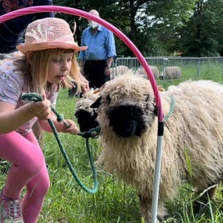 Emma mit Schaf